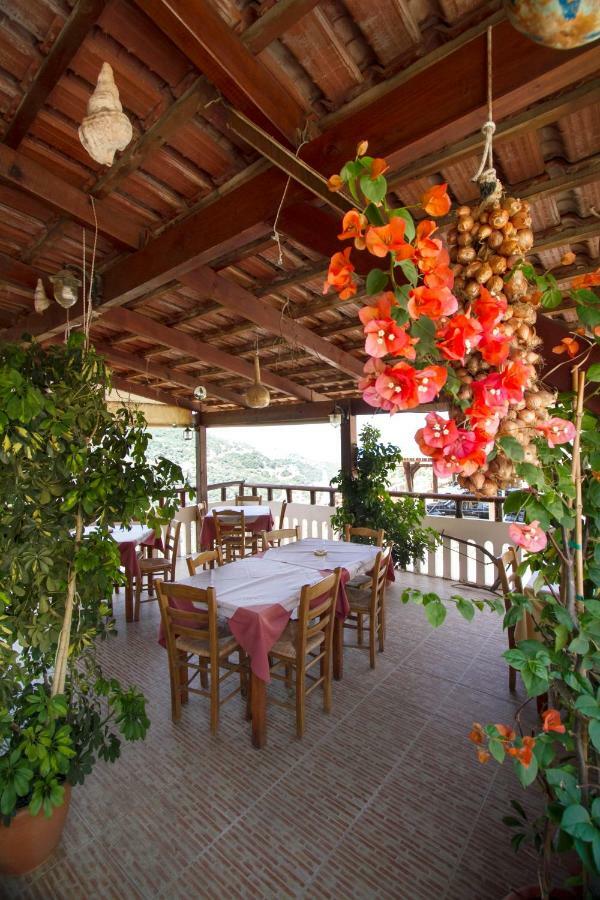 Sunset Crete Bed and Breakfast Κάμπος Εξωτερικό φωτογραφία